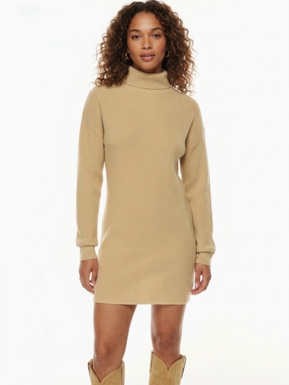 Aritzia Wilfred Montpellier Sweater Dress